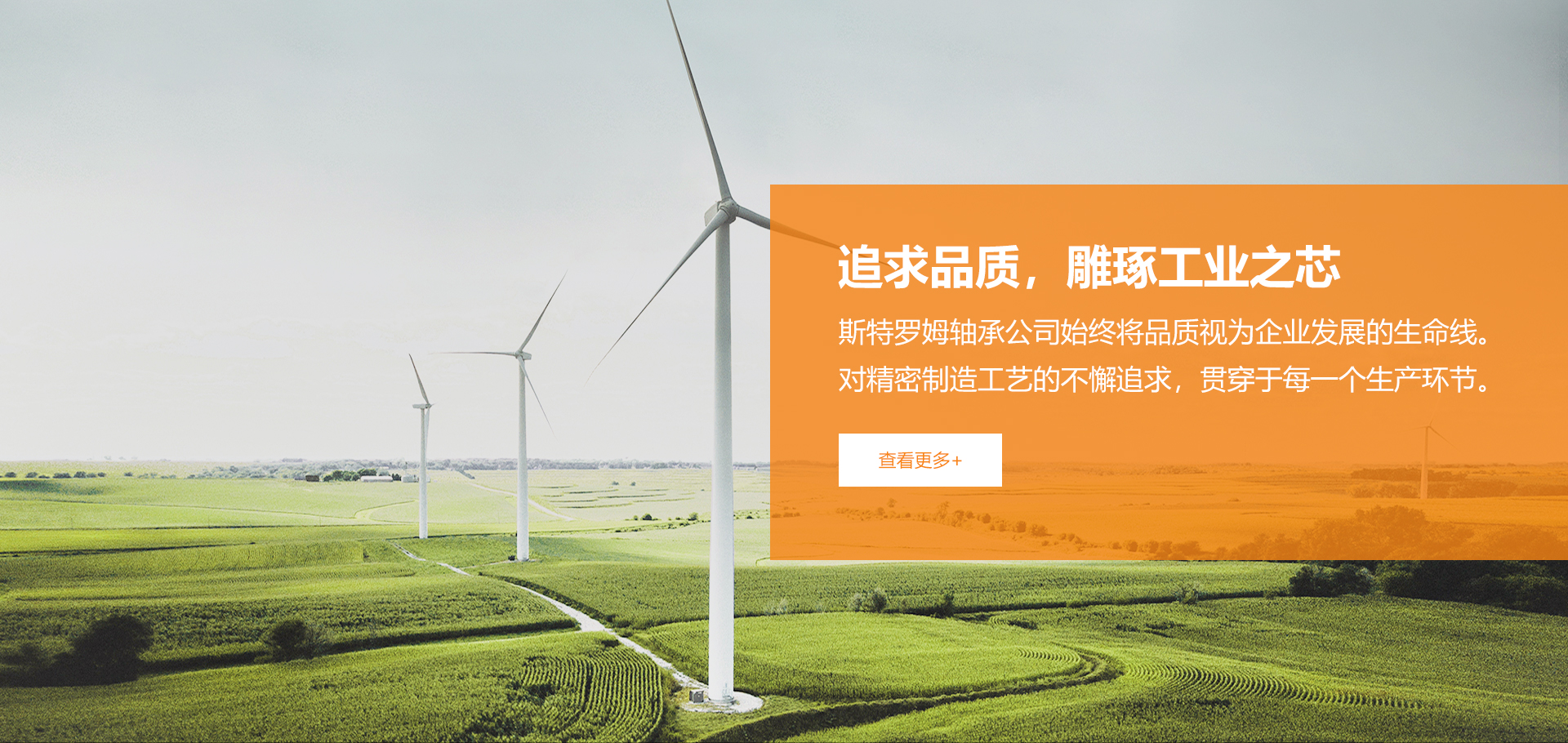 斯特羅姆軸承有限公司